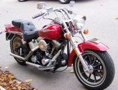 1988 Harley-Davidson FXST 1340 Softail photo